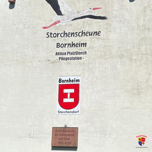 20250623-Storchenrettung (7)